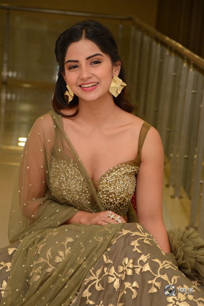 Kashmira-at-Nartanasala-Pre-Release-Event